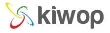 Kiwop - agencias consultoras SEO en Tarragona