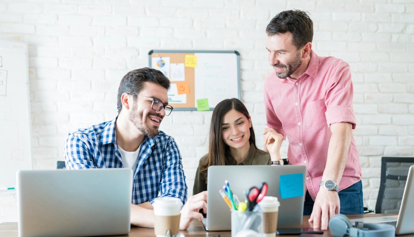 equipo de desarrollo mirando web